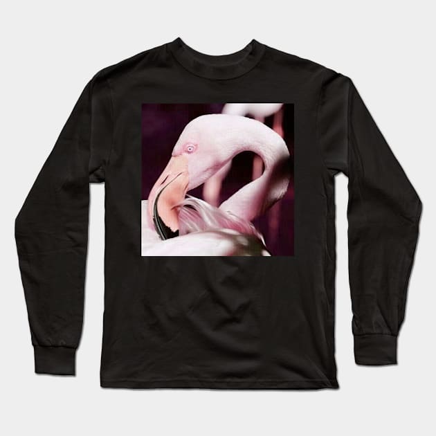 Pink Flamingo Real Photograph Art Nature Design Long Sleeve T-Shirt by DesignIndex
